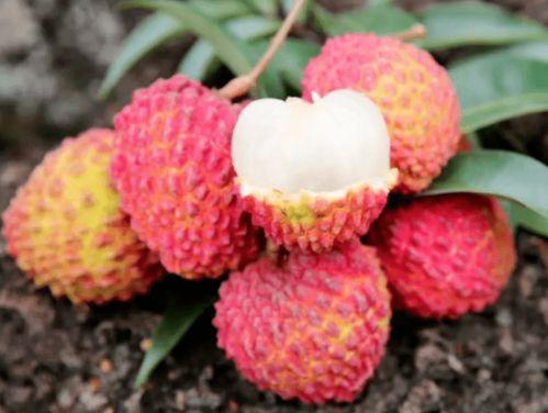 上海李莹莹吃瓜,揭秘网络舆论背后的真相  第2张