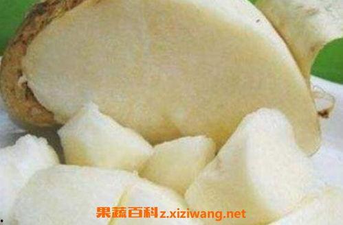 吃土瓜有什么作用,养生保健的多重益处揭秘