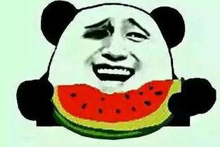 叫你吃瓜,跟随“吃瓜群众”探寻明星幕后故事  第2张