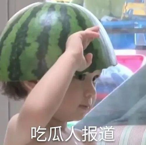 吃瓜表情包 文案,揭秘网络时代的趣味与讽刺  第1张