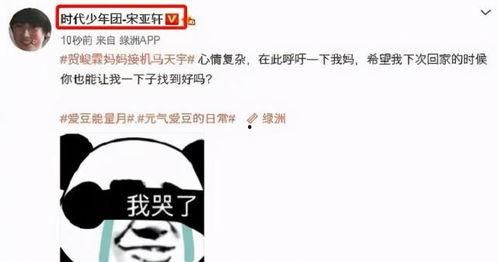 吃瓜表情包 文案,揭秘网络时代的趣味与讽刺  第2张