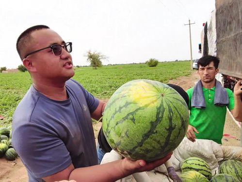 162299吃瓜群,揭秘网络社交圈的趣味与争议  第1张