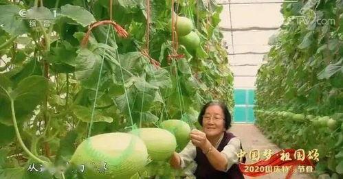 生活中的吃瓜事  第2张