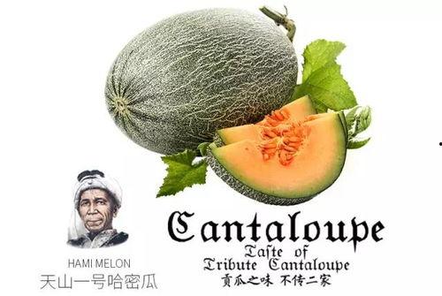 吃瓜特效推荐  第2张