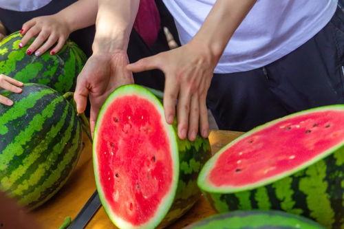 吃瓜新闻类名称,吃瓜群众眼中的明星幕后故事  第2张