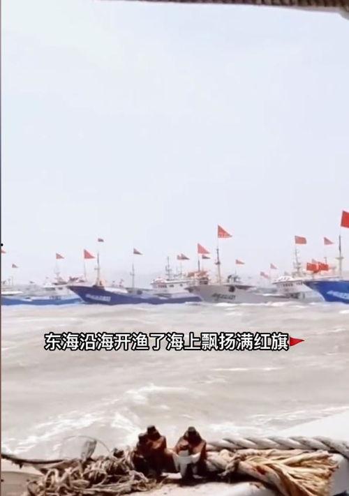 吃瓜的渔船  第2张