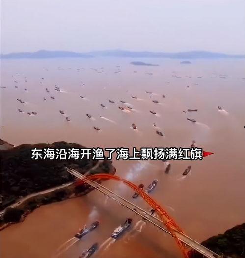 吃瓜的渔船  第3张