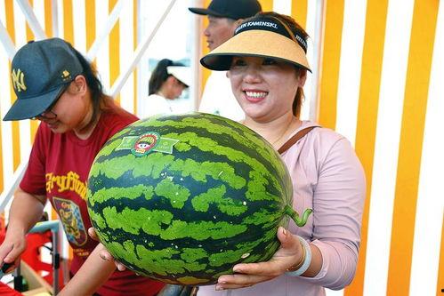 查企业吃瓜  第3张