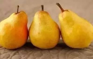 梨瓜秋天可以吃吗