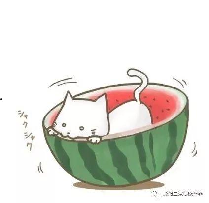 萌小希吃瓜头像  第3张