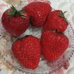 户外美食吃瓜视频,跟随吃瓜视频探索美味之旅  第3张