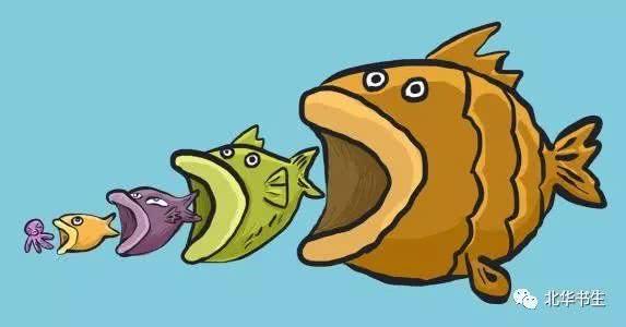 马太效应吃瓜  第2张