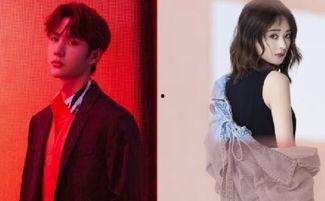 陆晨吃瓜,揭秘娱乐圈背后的那些事儿