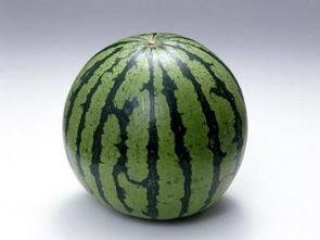 减肥吃酥瓜发胖吗,吃酥瓜真的会发胖吗？  第2张