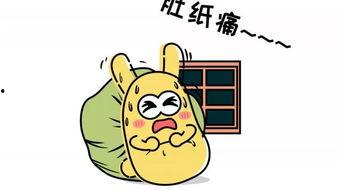 吃瓜群众2018  第1张