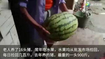 长吃瓜视频  第2张