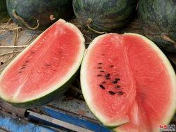 吃瓜的圈子,揭秘娱乐圈背后的八卦风云  第3张