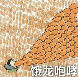 银灰吃瓜头像  第2张