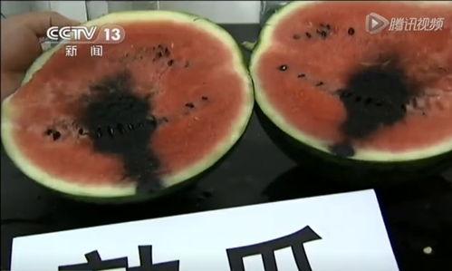 中午吃的瓜视频,中午吃瓜视频，带你领略趣味时光  第2张