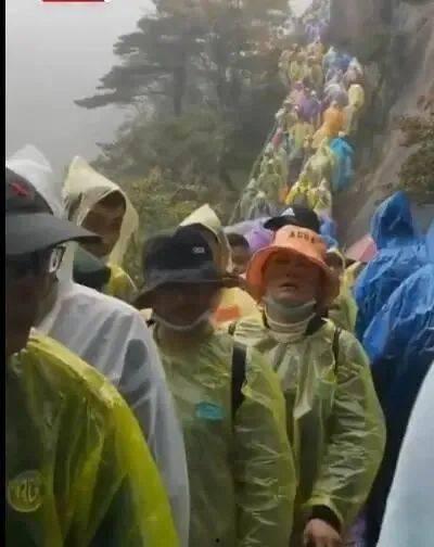 吃瓜赏雪  第2张