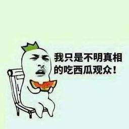 面对吃瓜群众,揭秘吃瓜群众背后的真相与趣味  第2张