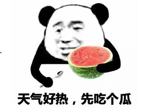吃酸瓜表情包,酸甜滋味，表情包界的清新小确幸