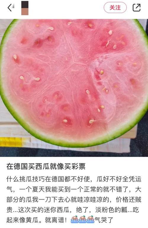 实现吃瓜自由,揭秘当代年轻人的快乐源泉  第2张