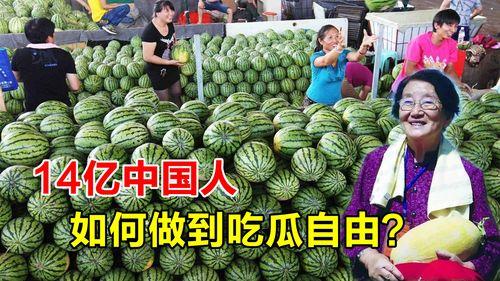 实现吃瓜自由,揭秘当代年轻人的快乐源泉  第3张
