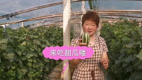 大妈吃瓜网站  第3张