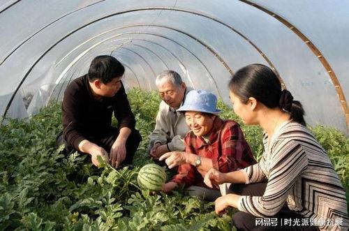 吃瓜神圣,网络热词背后的文化现象  第2张