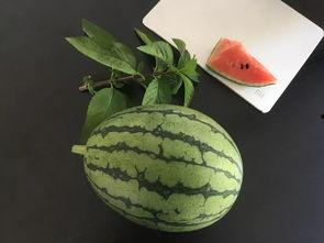 等待客户吃瓜,静待客户品鉴时