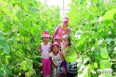 皇帝地里吃瓜,一场意外的宫廷趣事  第2张
