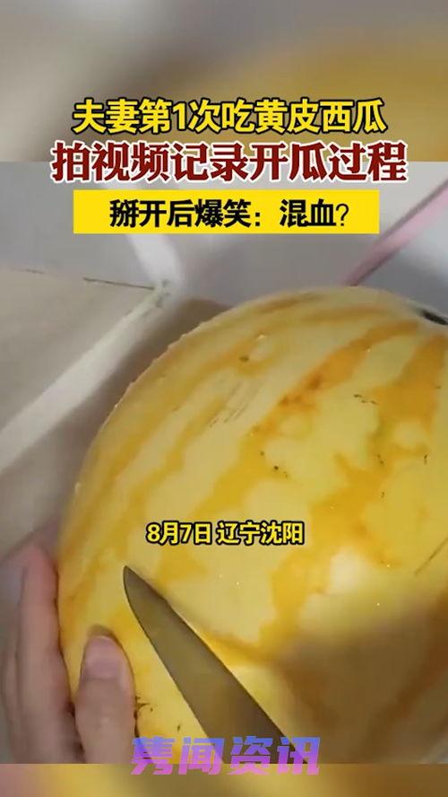 吃黄皮瓜视频大全,视频大全带你领略美味瞬间