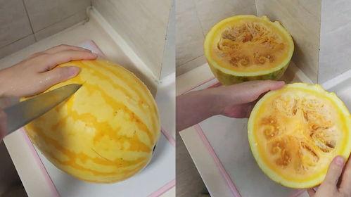 吃黄皮瓜视频大全,视频大全带你领略美味瞬间  第3张