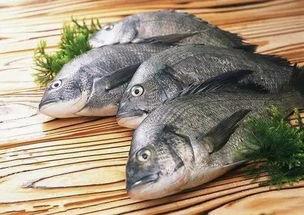 吃八瓜鱼生吃,探寻鲜美滋味背后的饮食文化  第3张