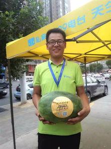 郑州吃瓜群众图片,一图览尽人间百态  第2张