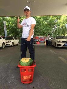 郑州吃瓜群众图片,一图览尽人间百态  第3张