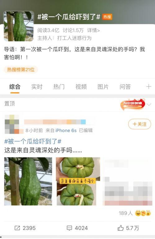 吃瓜爆料大瓜投稿,吃瓜爆料大瓜投稿背后的真相  第2张