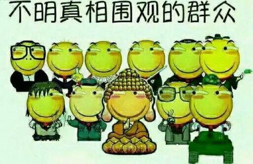 关于吃瓜的幽默说说,那些让人捧腹的吃瓜趣事  第3张