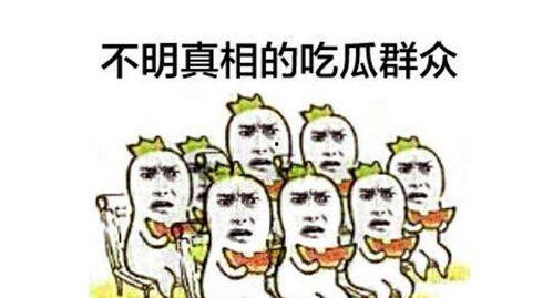 吃瓜群众赋,吃瓜群众眼中的明星生活