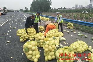 周口许昌吃瓜事件