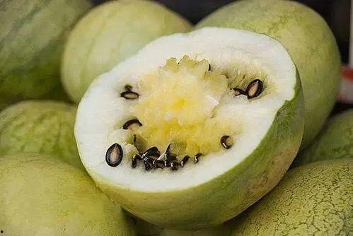 户外籽瓜怎么吃,户外籽瓜的多样食法探索  第2张