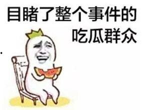 没人会关心你吃瓜的句子,无需他人关心  第2张