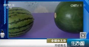 小瓜皮吃瓜圈  第3张