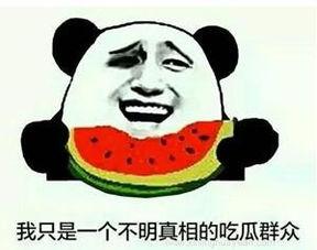 吃瓜群众打架斗嘴,吃瓜群众斗嘴风云录  第3张