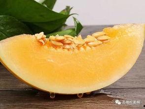 吃六个瓜,六个瓜的清凉之旅  第2张