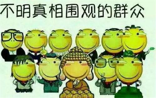 类似吃瓜群众的词汇,揭秘网络“吃瓜群众”现象