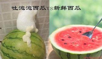 泡泡 吃瓜,揭秘网络舆论场的双刃剑效应 第2张 泡泡 吃瓜,揭秘网络舆论场的双刃剑效应 第2张